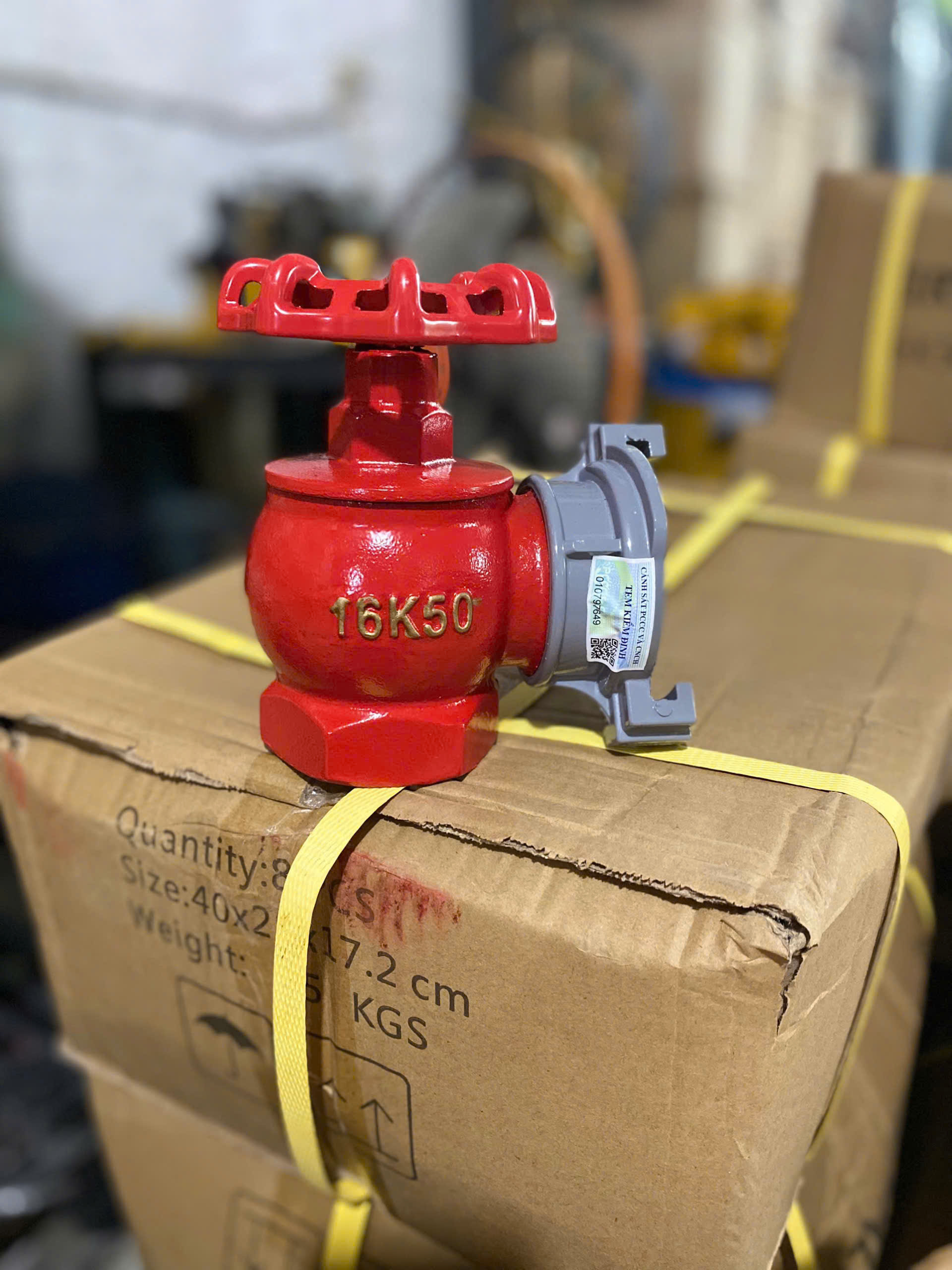 sản phẩm 1 — bản 16